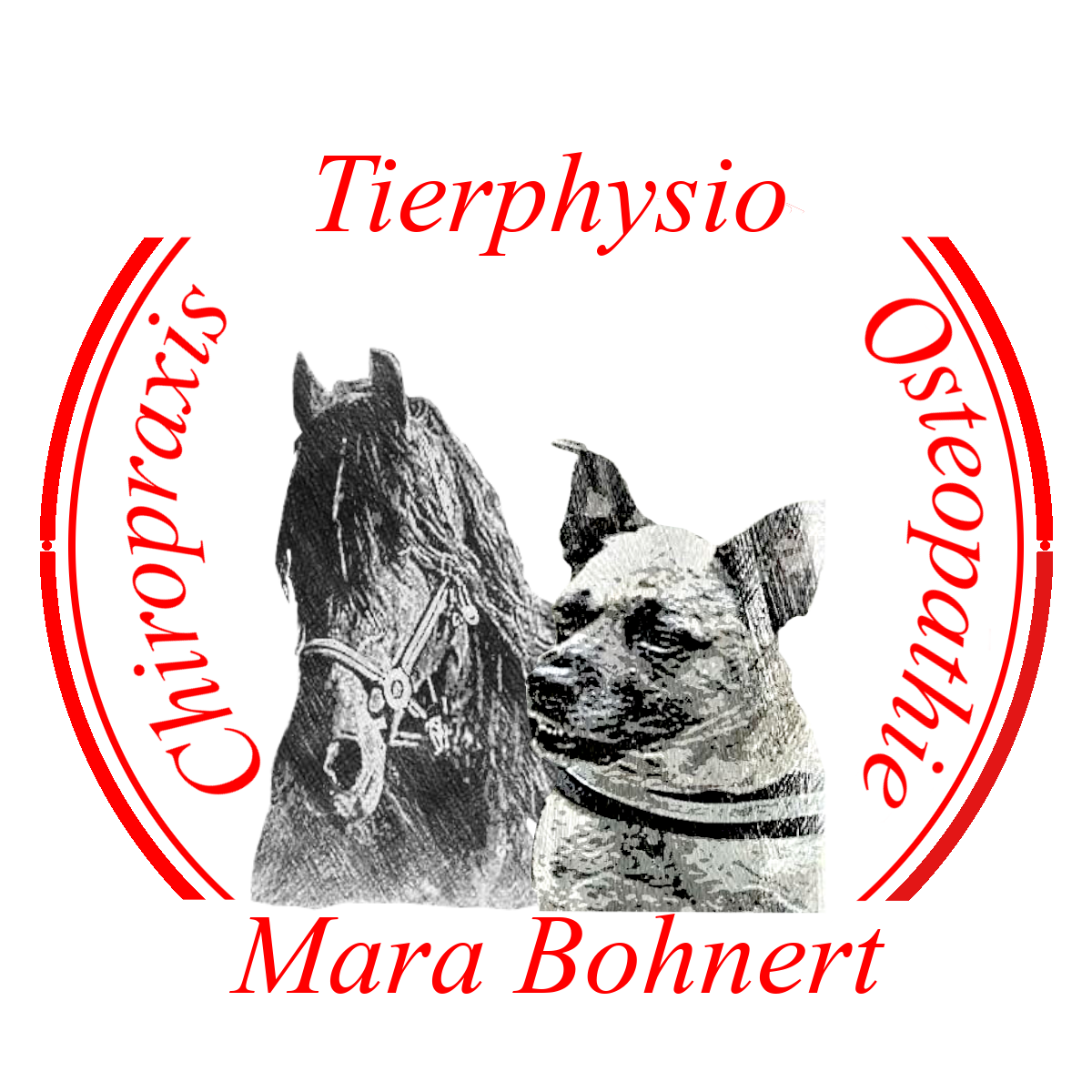 Chiropraxis Mara Bohnert